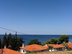 THE HOUSE WITH THE VIEW